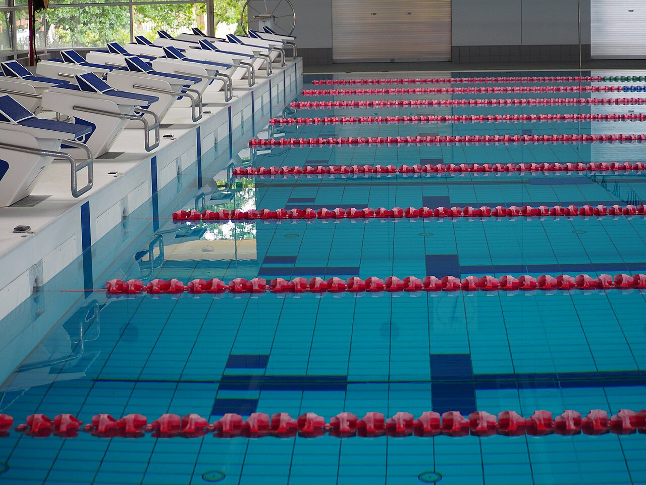 Starting blocks and red lane ropes in the Australian Institute of Sport swimming pool.