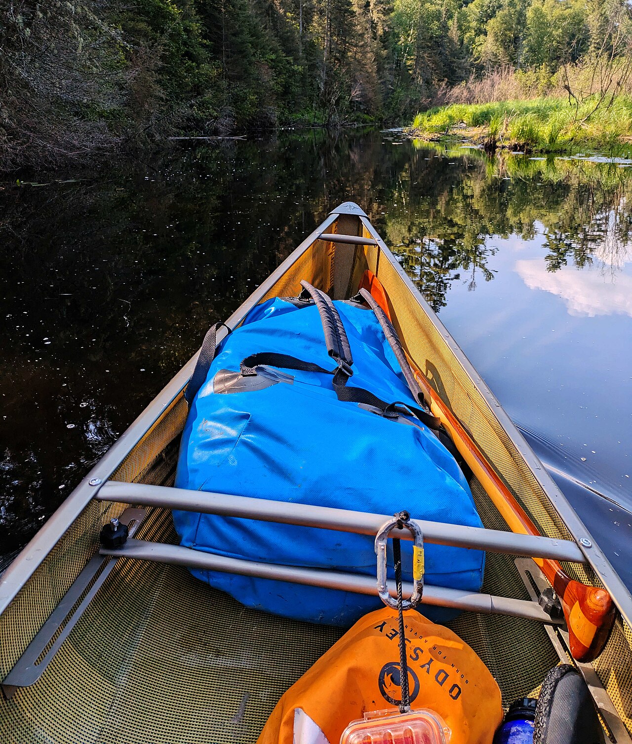 Blue dry bag secured inside a canoe on a wooded waterway