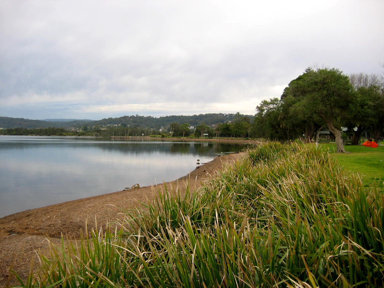 Lake Macquarie waterfront at Speers Point Park, with grass and trees beside the shoreline.
