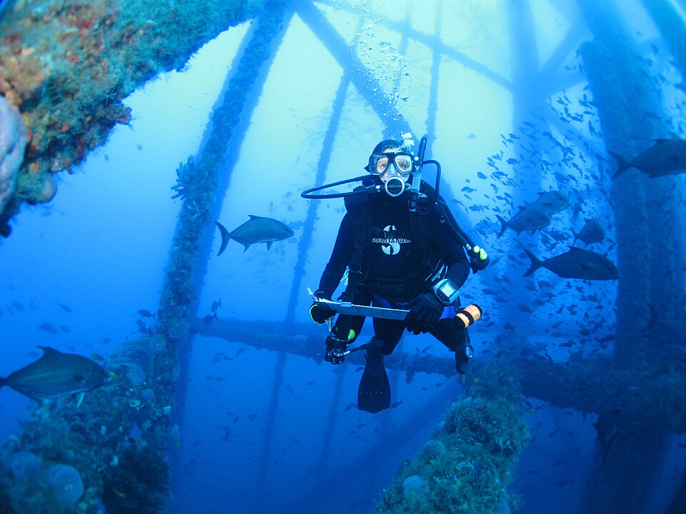 A scuba diver holding a slate among fish and submerged structures at Flower Garden Banks