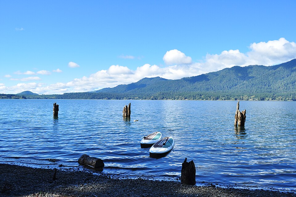 Paddleboards by the shore of Lake Quinault