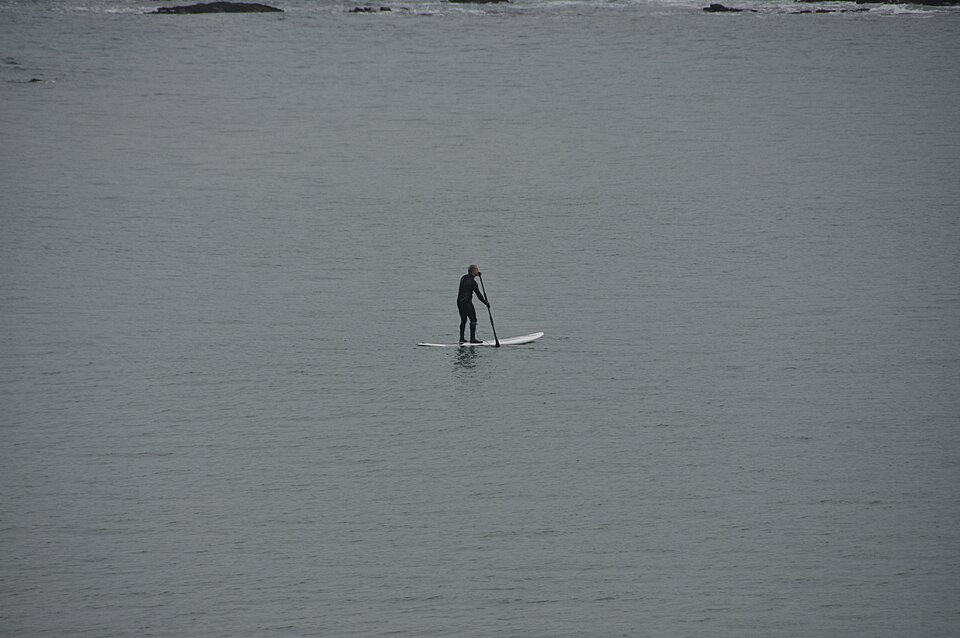 Paddleboarder off Wembury Beach