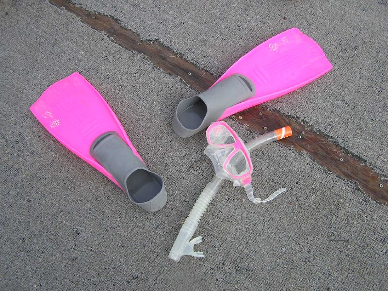 Pink fins, a mask and a separate snorkel are laid out on paving