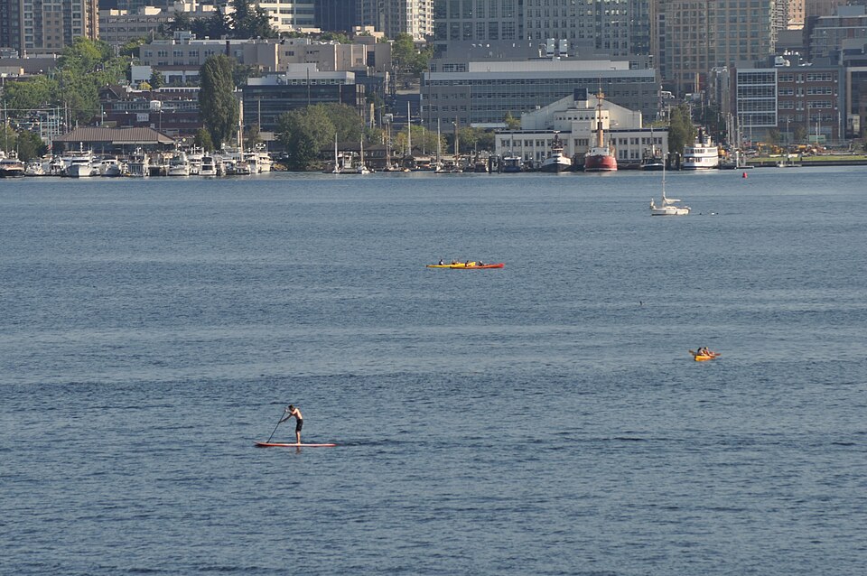 Paddleboarder on Lake Union