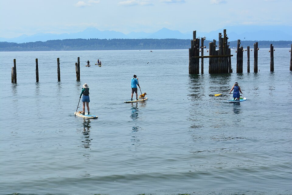 Paddleboarders at Shilshole Beach