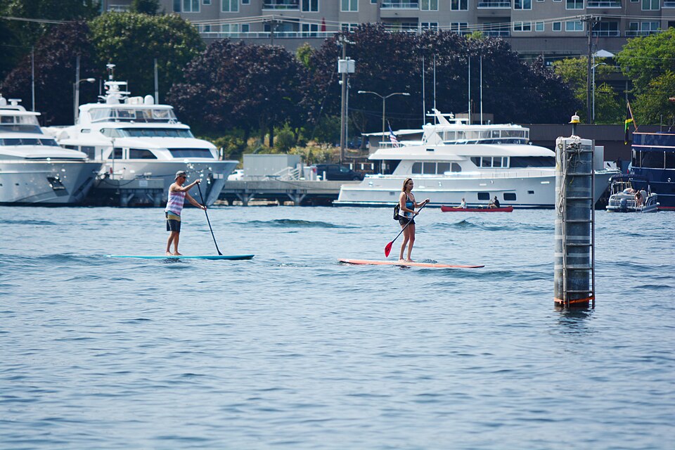 Paddleboarders viewed from Waterway 11