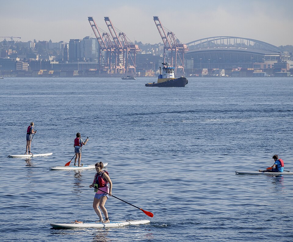 Paddleboarders at Seacrest Park Cove 3