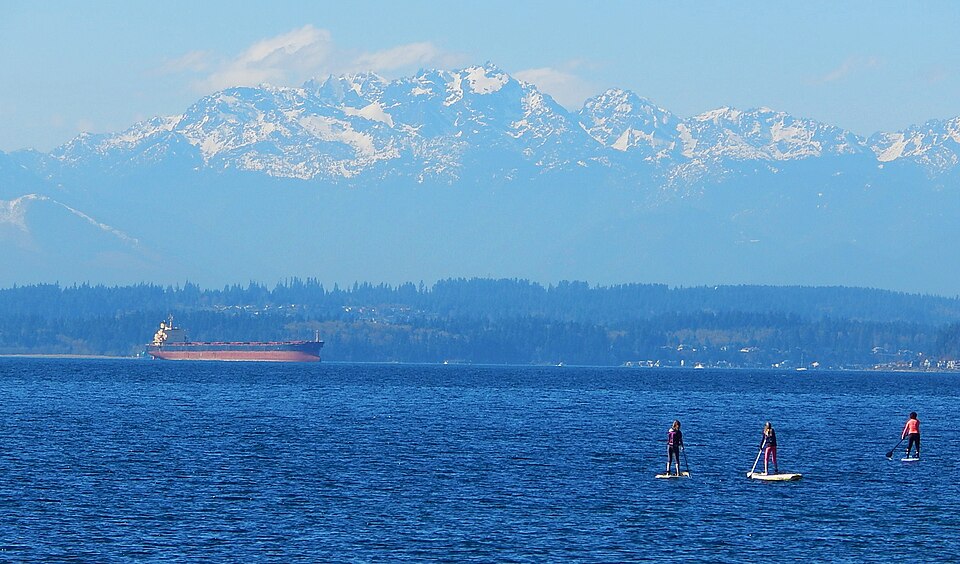 Paddleboarders in Fauntleroy Cove
