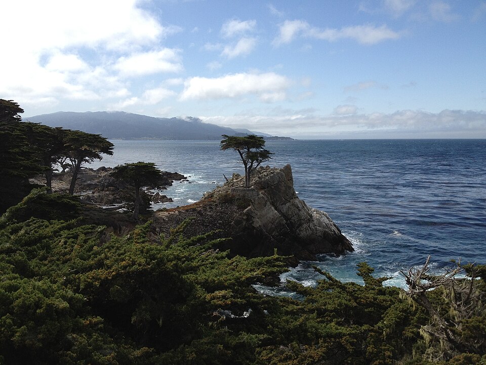 Archived coastal photograph of a rocky, tree-covered shore beside Monterey Bay National Marine Sanctuary.
