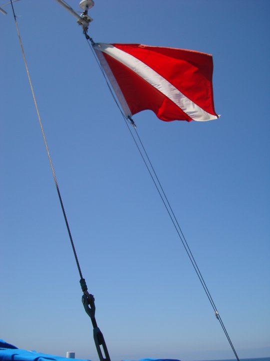 Divers-down flag displayed aboard a dive vessel