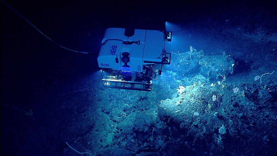 NOAA ROV Deep Discoverer illuminating deep-sea corals at Retriever Seamount