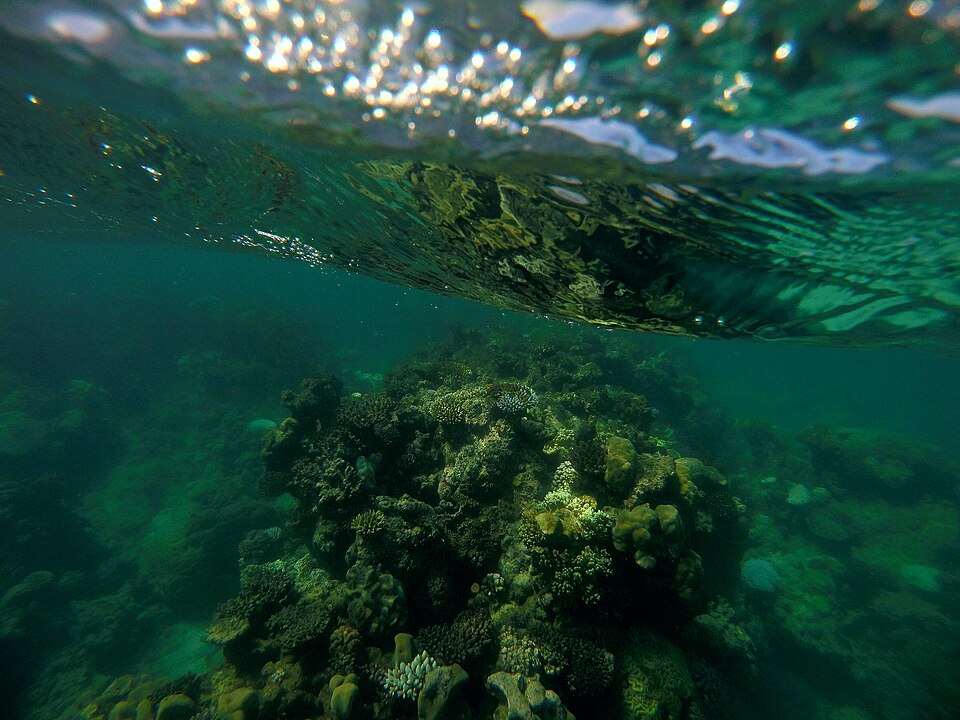 Sunlight and surface reflections above coral in the Great Barrier Reef Marine Park off Cairns