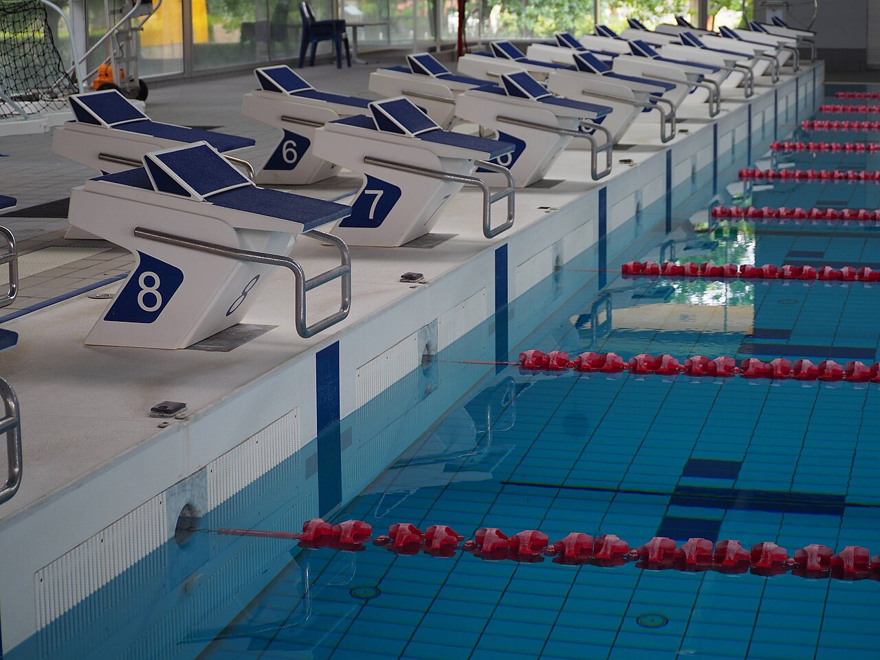 Starting blocks and red lane ropes at an indoor swimming pool.