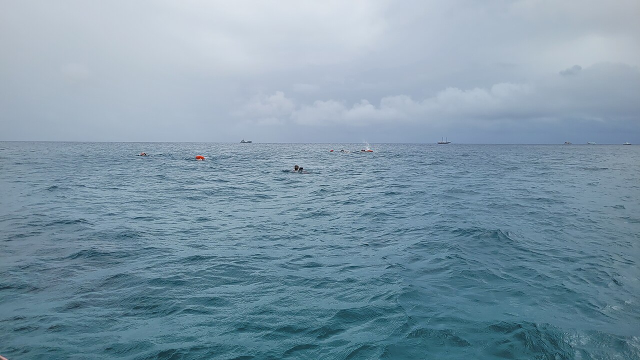 Open-water swimmers with bright visibility buoys and distant boats on the horizon.