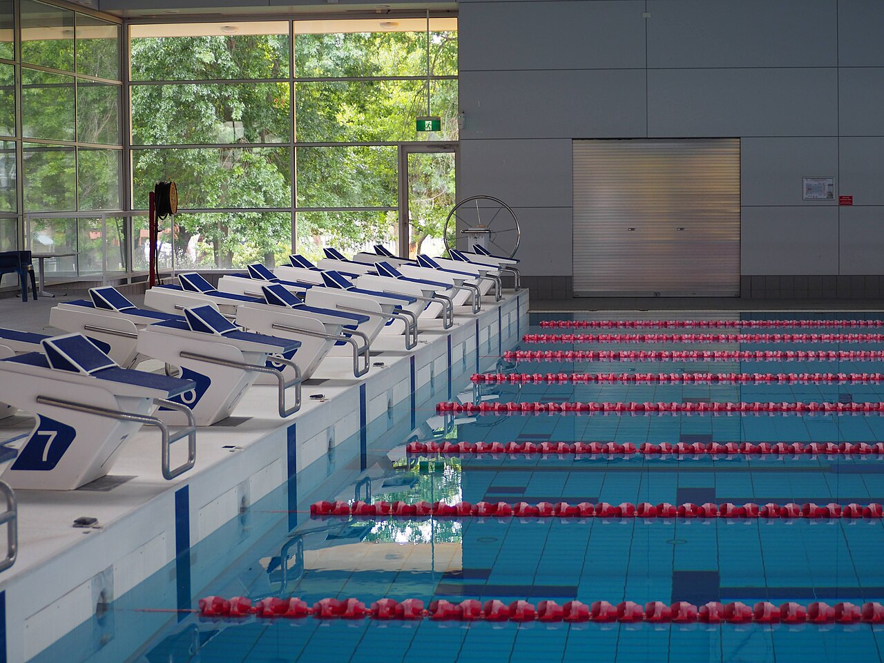 Indoor swimming pool lanes and a row of numbered starting blocks.