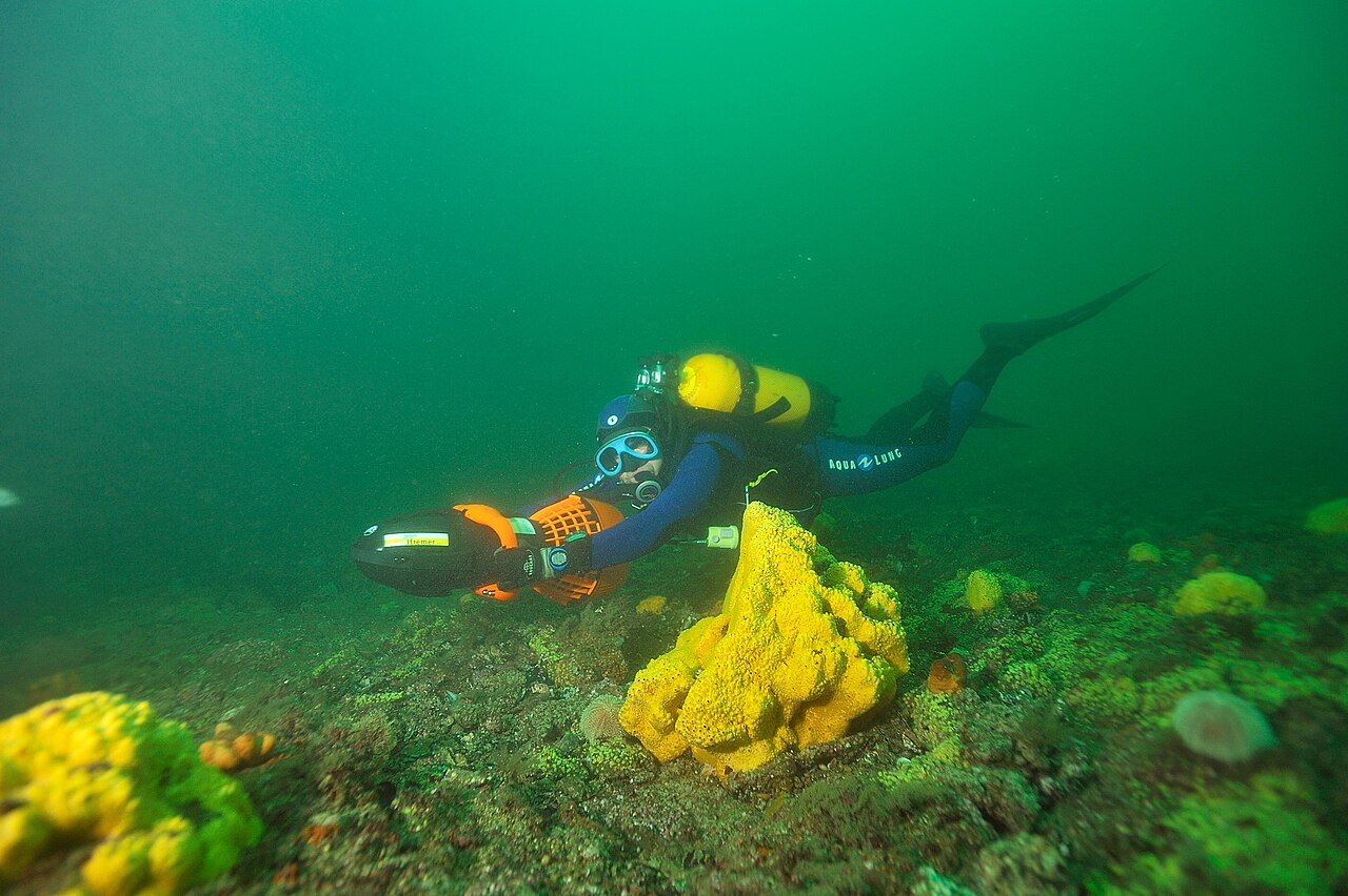 Research diver using an underwater scooter beside a yellow sponge
